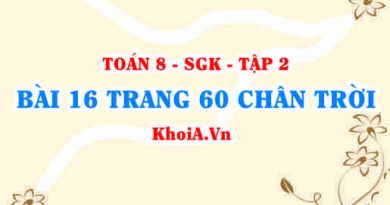 Bài 16 trang 60 Toán 8 Chân trời sáng tạo Tập 2